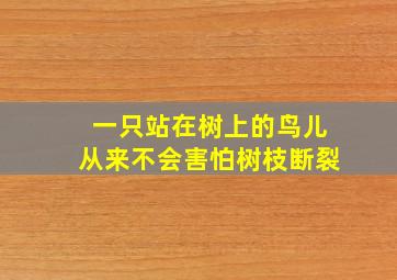 一只站在树上的鸟儿从来不会害怕树枝断裂