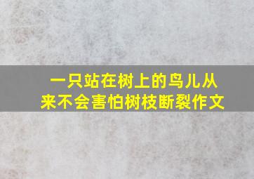 一只站在树上的鸟儿从来不会害怕树枝断裂作文