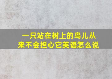 一只站在树上的鸟儿从来不会担心它英语怎么说