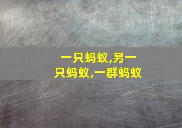 一只蚂蚁,另一只蚂蚁,一群蚂蚁