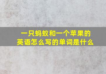 一只蚂蚁和一个苹果的英语怎么写的单词是什么