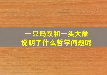 一只蚂蚁和一头大象说明了什么哲学问题呢