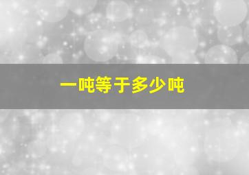 一吨等于多少吨