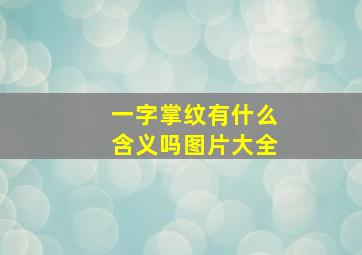 一字掌纹有什么含义吗图片大全