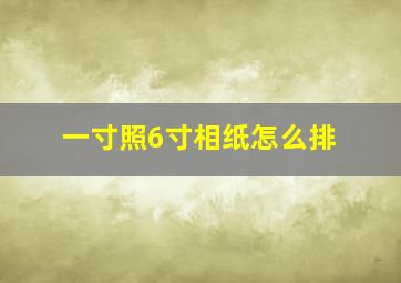 一寸照6寸相纸怎么排