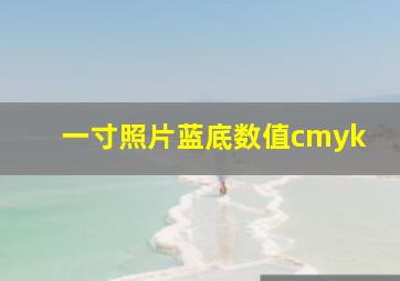 一寸照片蓝底数值cmyk