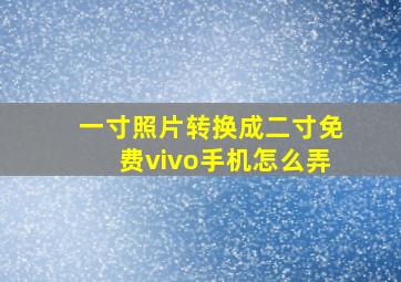 一寸照片转换成二寸免费vivo手机怎么弄