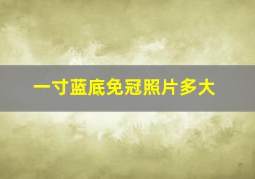 一寸蓝底免冠照片多大