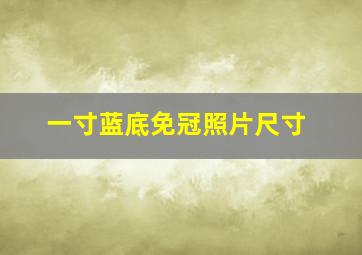 一寸蓝底免冠照片尺寸