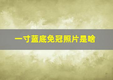 一寸蓝底免冠照片是啥