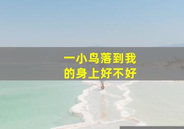 一小鸟落到我的身上好不好