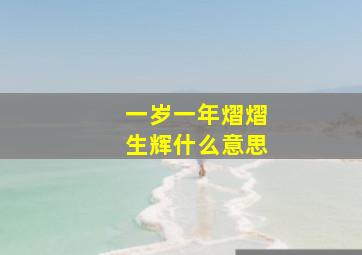 一岁一年熠熠生辉什么意思