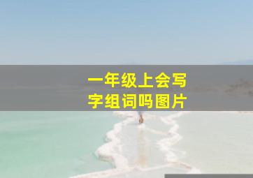 一年级上会写字组词吗图片