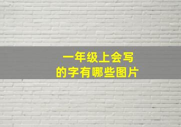 一年级上会写的字有哪些图片