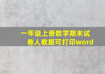 一年级上册数学期末试卷人教版可打印word