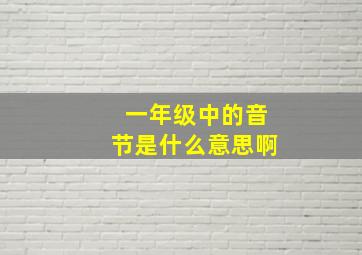 一年级中的音节是什么意思啊