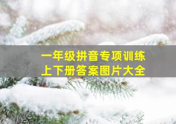 一年级拼音专项训练上下册答案图片大全