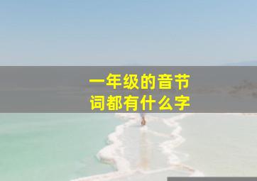 一年级的音节词都有什么字