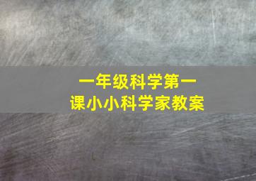 一年级科学第一课小小科学家教案