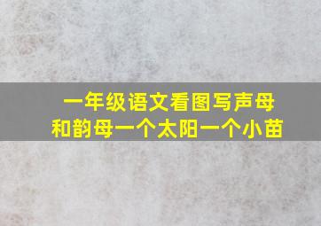 一年级语文看图写声母和韵母一个太阳一个小苗