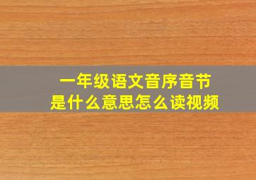 一年级语文音序音节是什么意思怎么读视频