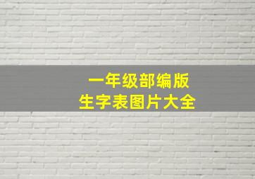 一年级部编版生字表图片大全