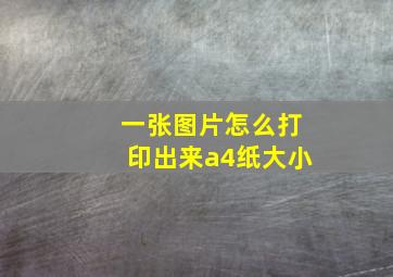 一张图片怎么打印出来a4纸大小