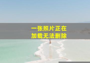 一张照片正在加载无法删除