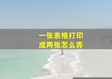 一张表格打印成两张怎么弄