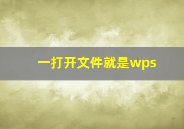 一打开文件就是wps