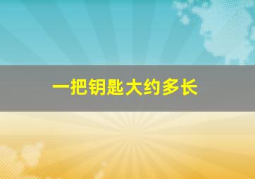 一把钥匙大约多长