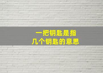 一把钥匙是指几个钥匙的意思