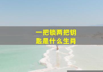 一把锁两把钥匙是什么生肖