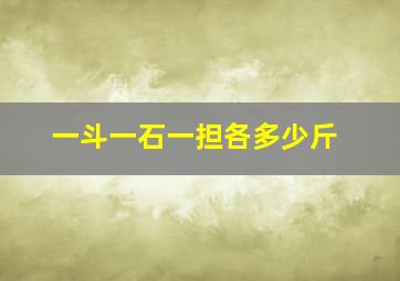 一斗一石一担各多少斤