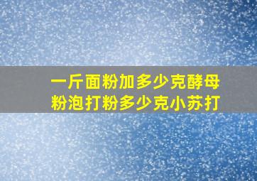 一斤面粉加多少克酵母粉泡打粉多少克小苏打