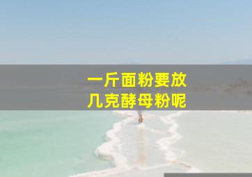 一斤面粉要放几克酵母粉呢