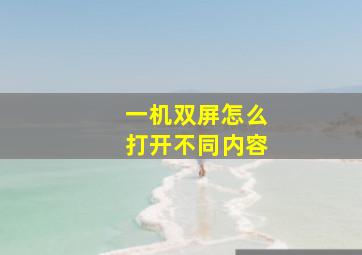 一机双屏怎么打开不同内容