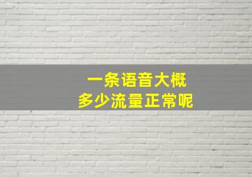 一条语音大概多少流量正常呢