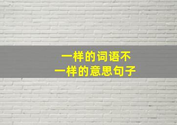 一样的词语不一样的意思句子