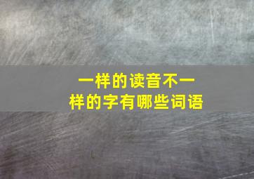 一样的读音不一样的字有哪些词语