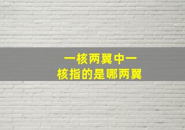 一核两翼中一核指的是哪两翼