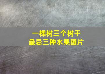 一棵树三个树干最忌三种水果图片