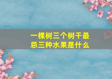 一棵树三个树干最忌三种水果是什么