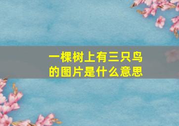 一棵树上有三只鸟的图片是什么意思