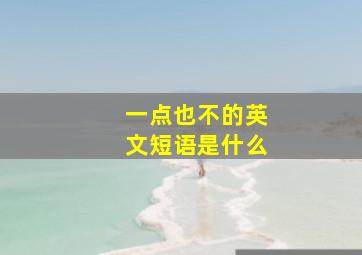 一点也不的英文短语是什么