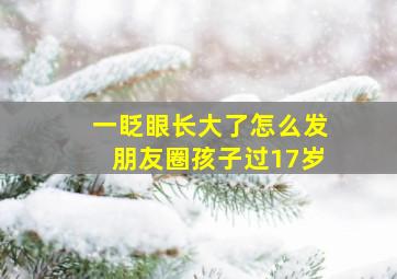 一眨眼长大了怎么发朋友圈孩子过17岁