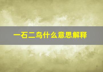 一石二鸟什么意思解释