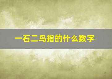 一石二鸟指的什么数字