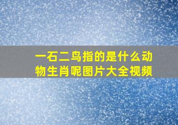 一石二鸟指的是什么动物生肖呢图片大全视频