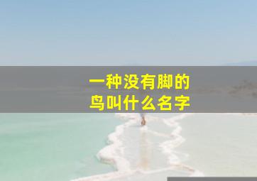 一种没有脚的鸟叫什么名字